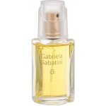 Gabriela Sabatini Miss Gabriela Night toaletní voda dámská 20 ml – Zbozi.Blesk.cz