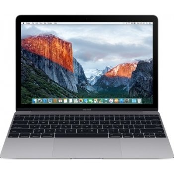 Apple MacBook MLH82CZ/A