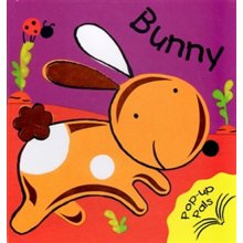 Bunny Pop Up Book