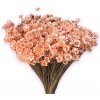 Květina Sušené slaměnky Glixia 50g kytička - meruňkové