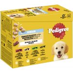 Pedigree Junior Multipack v želé Junior 4 Varianty 12 x 100 g – Zbozi.Blesk.cz