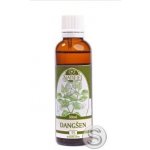 Naděje Dangšen výluh z bylin 50 ml – Hledejceny.cz