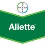 Aliette 80 WG 5 kg – Zboží Dáma