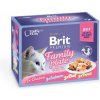 Brit Premium Cat Family plate jelly 12 x 85 g
