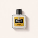 Proraso Wood & Spice balzám na vousy 100 ml – Hledejceny.cz