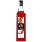 1883 Maison Routin Spritz sirup 1 l – Zboží Dáma