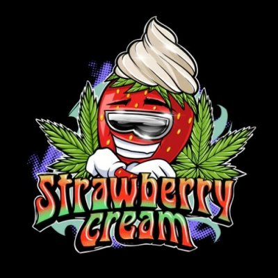 Sumo Seeds Strawberry Cream semena neobsahují THC 3 ks – Zboží Mobilmania