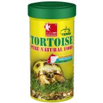 Dajana Tortoise Natural 250 ml – Zbozi.Blesk.cz