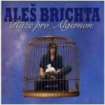 Aleš Brichta - Růže pro Algernon (Remastered 2026) CD – Hledejceny.cz