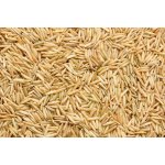 Les fruits du Paradis Rýže BIO Basmati celozrnná 5 kg – Hledejceny.cz