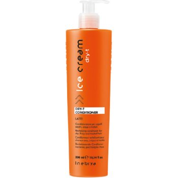 Inebrya Dry-T For Dry Frizzy And Treated Hair Conditioner 300 ml