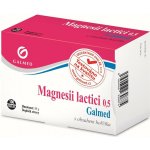 Galmed Magnesii lactici 0,5 g 100 tablet – Hledejceny.cz