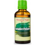 Bylinné kapky Pavlovy bylinné kapky Pseudostelarie TCM tinktura 50 ml – Hledejceny.cz