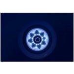 Powerslide Graphix 100 mm 85A 1 ks – Zboží Dáma