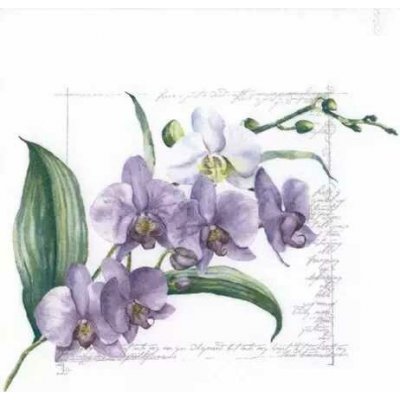 Ti-flair Ubrousek 33x33cm Orchidej šeříková – Hledejceny.cz