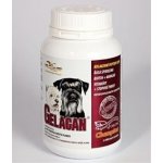 Orling - Gelacan Champion psi černobílá plemena 150 g – Hledejceny.cz