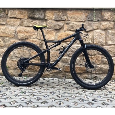 specialised epic expert 2019