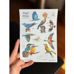 ČSO Papírové samolepky - Ptačí fešáci – Hledejceny.cz