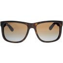 Ray-Ban RB4165 865 T5