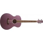 Ashton SL20EQ – Zboží Dáma