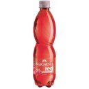 Magnesia RED malina 0,5l - PET