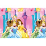 Procos Papírový ubrus Disney Princezny 120x180cm – Zbozi.Blesk.cz