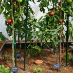 Tuselie Zavlažovací nádoba olla záhonová velikost M objem 3 l – Zboží Dáma