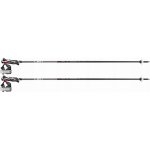 Leki Carbon 14 3D 2025/26 – Zbozi.Blesk.cz