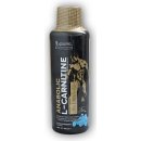 Kevin Levrone Legendary L-Carnitin 500 ml