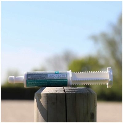 LPC Quick Lyte Flash elektrolyty 60 ml – Hledejceny.cz