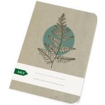 Papírny Brno Sešity školní ECONOMY A5 čtvereček 545 – Sleviste.cz