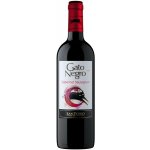 Gato Negro Cabernet Sauvignon 13% 0,75 l (holá láhev) – Zboží Dáma