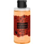 Pan Drwal Steam Punk Hero šampon na vousy 150 ml – Sleviste.cz