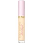 TOO FACED Born This Way Ethereal Light Concealer Korektor Vanilla Wa 5 ml – Zbozi.Blesk.cz