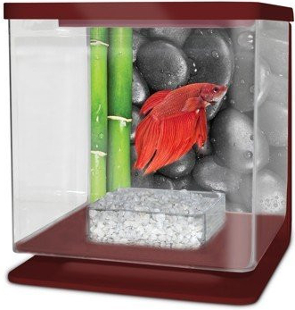 Cat-Gato Betarium Betta kit stones 2 l