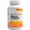 GymSupps Tribulus Terrestris 90% + Piperine 100 kapslí