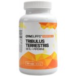GymSupps Tribulus Terrestris 90% + Piperine 100 kapslí – Zboží Dáma GymSupps Tribulus Terrestris 90% + Piperine 100 kapslí – Zboží Dáma