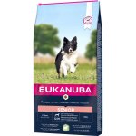 Eukanuba Senior Small & Medium Breed jehněčí s rýží 2 x 12 kg – Hledejceny.cz