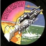 Pink Floyd - Wish You Were Here Limited Edition LP – Hledejceny.cz