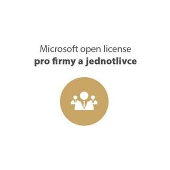 Microsoft SQL Svr Std 2017 OLP NL 228-11135