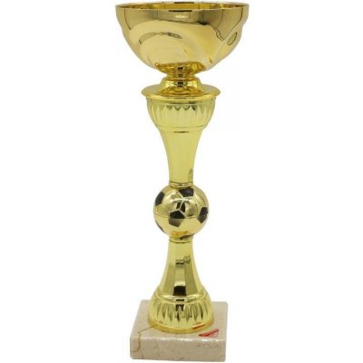 2170 Pohár zlatý fotbal – Zboží Dáma