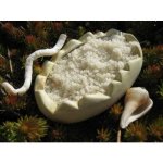 Sůl z Mrtvého moře 1 kg – Hledejceny.cz