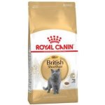 Royal Canin Breed Feline British Shorthair pro dospělé Britské krátkosrsté kočky 2 kg – Hledejceny.cz