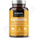 Allnature Organis Kurkumin 60 kapslí – Hledejceny.cz