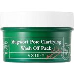 Axis y Mugwort Pore Clarifying Wash Off Pack 100 ml – Hledejceny.cz