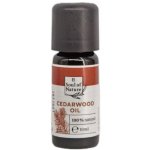 LR Soul of Nature Éterický olej Cedr 10 ml – Hledejceny.cz