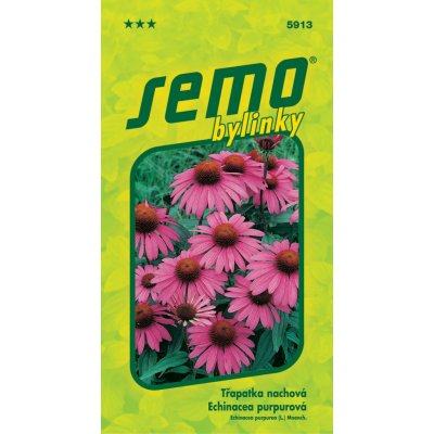 SEMO Třapatka nachová - Echinacea 1g – Zbozi.Blesk.cz