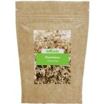 Botanic Damiána 100 g – Hledejceny.cz