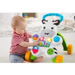FISHER PRICE Chodítko zebra se zvuky DLD80 – Zboží Mobilmania