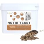 Dromy Nutri Yeast 6 kg – Zboží Dáma